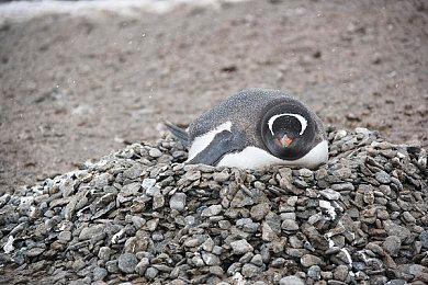 《赛博朋克2077》使用AI重现了已故配音演员的声音 已获得家属的同意